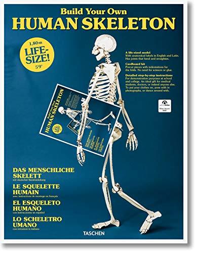 Build Your Own Human Skeleton ? Life Size!                                                                                                            <br><span class="capt-avtor"> By:                                                  </span><br><span class="capt-pari"> Eur:29,25 Мкд:1799</span>